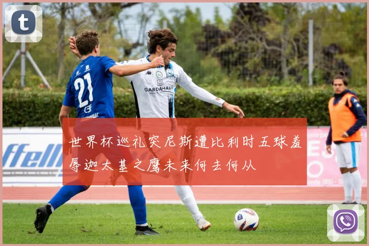 世界杯巡礼突尼斯遭比利时五球羞辱迦太基之鹰未来何去何从