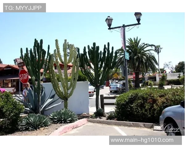 小卡分享圣地亚哥的轻松氛围与友善人群让人倍感自在的生活体验 小卡分享圣地亚哥的轻松氛围与友善人群让人倍感自在的生活体验